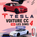 Image d'un Sim conduisant une voiture Tesla dans un environnement de simulation ludique.