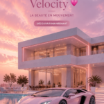 Rose Rose Quartz Velocity, une variété de rose aux douces teintes.