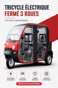 Tricycle électrique 6 places coloré pour les sorties en famille