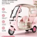Tricycle électrique moderne pour adultes dans un environnement urbain.