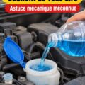 Une femme souriante consulte son mécanicien pour des conseils sur sa voiture électrique.