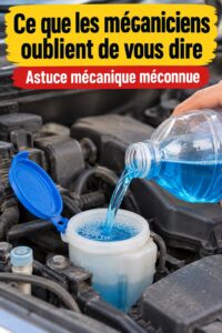 Une femme souriante consulte son mécanicien pour des conseils sur sa voiture électrique.
